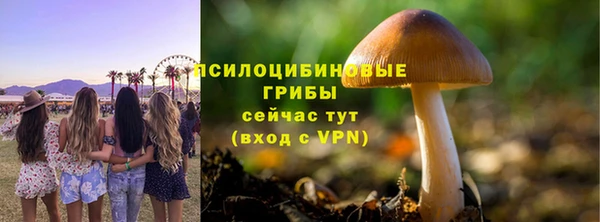 метадон Арсеньев