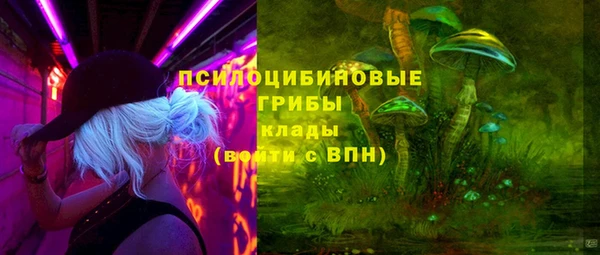 метадон Арсеньев