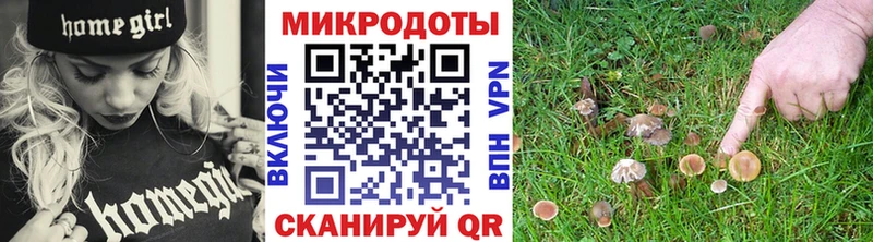 Псилоцибиновые грибы GOLDEN TEACHER  Елабуга 